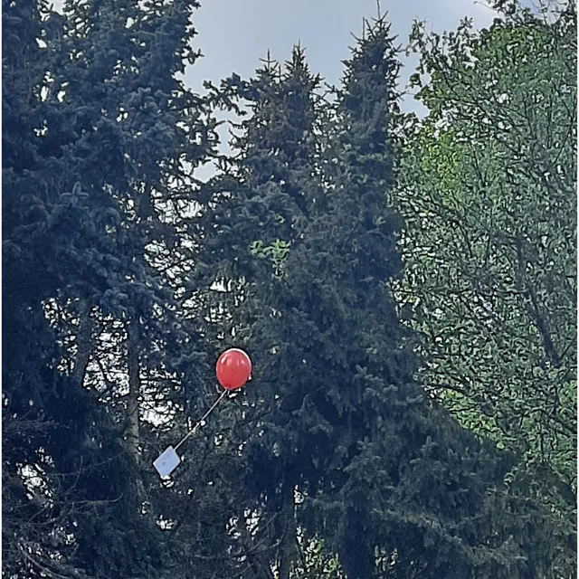 Foto: Ballon steigt in den Himmel