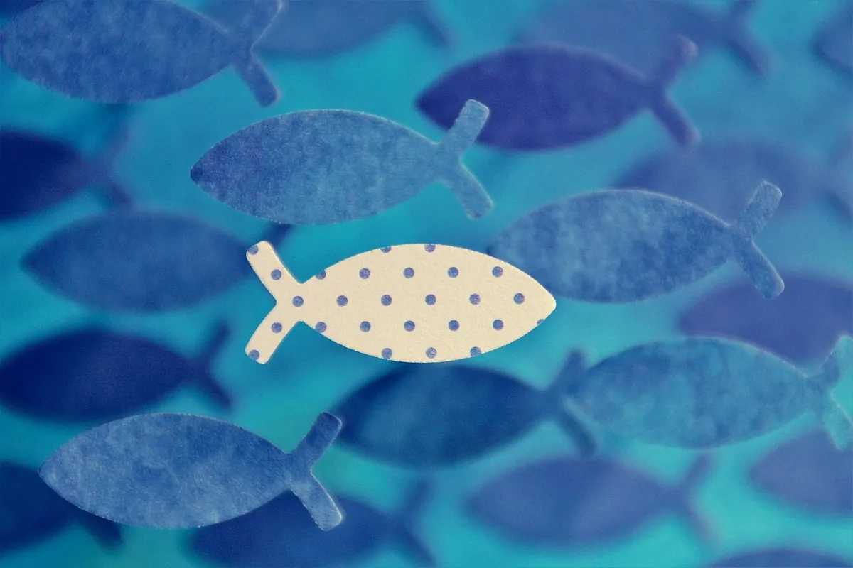 Bild: Fische
