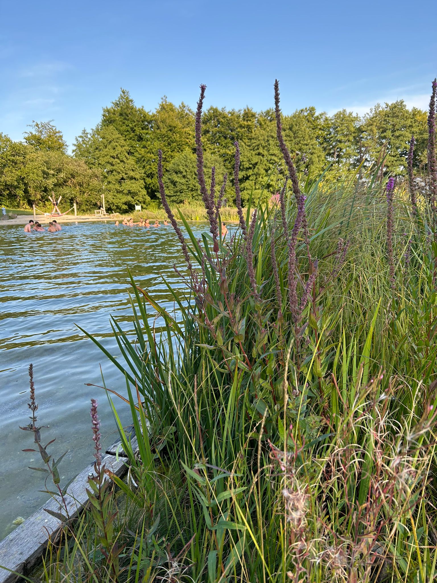 Impressionen zum Konficamp: Schwimmen im See