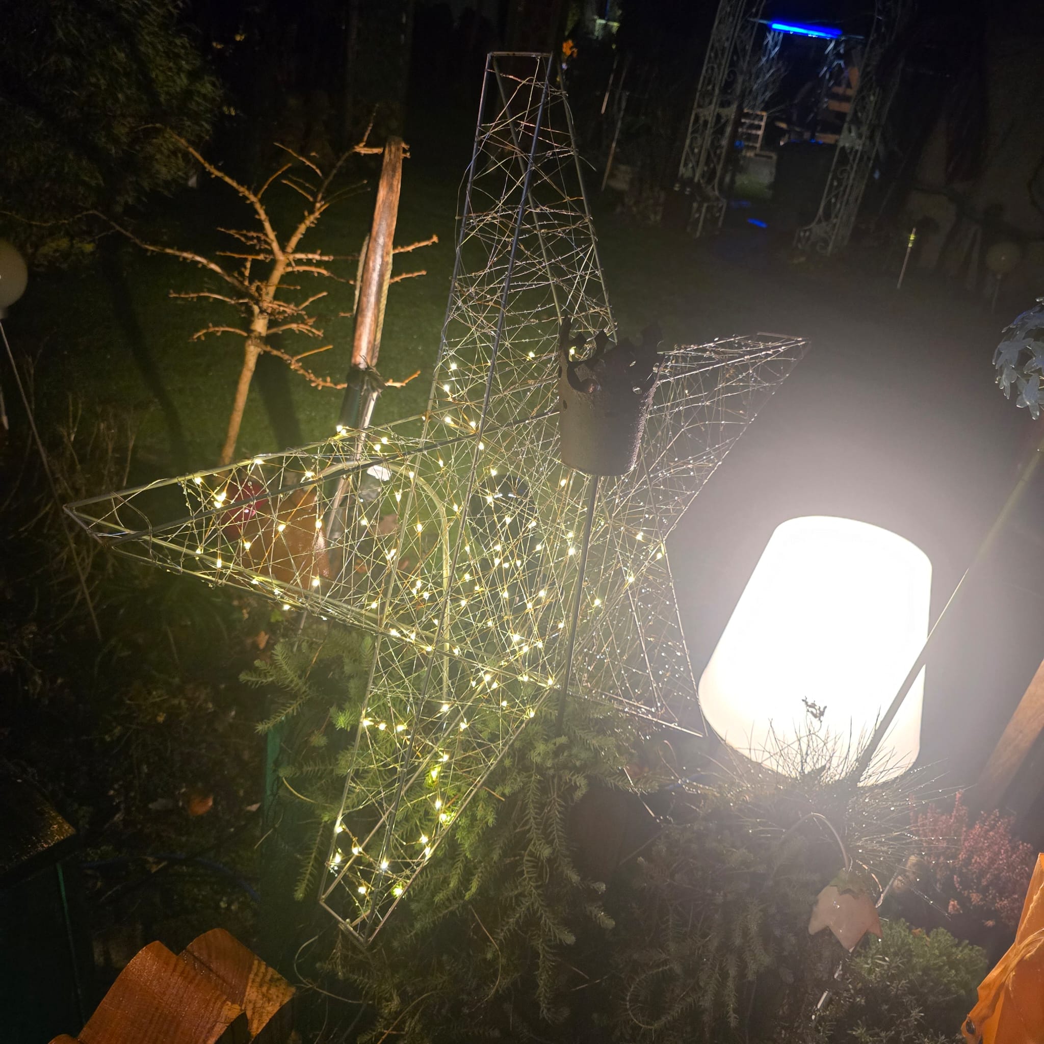 Foto von der Aktion "Adventsfenster"